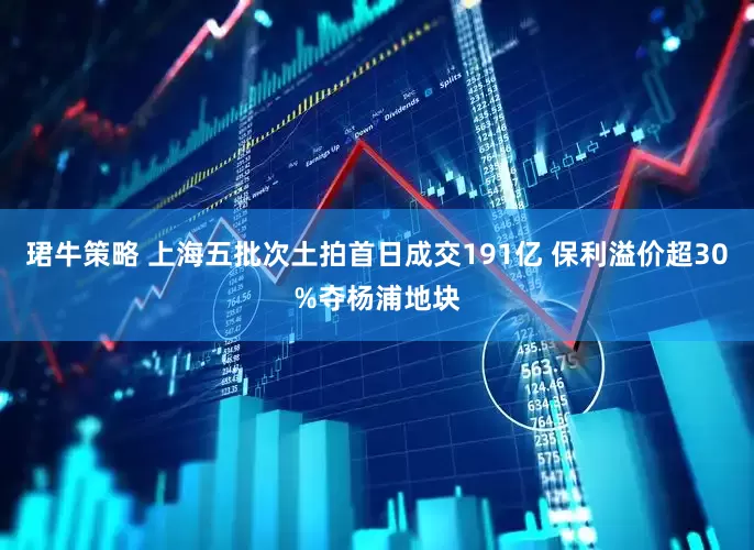 珺牛策略 上海五批次土拍首日成交191亿 保利溢价超30%夺杨浦地块