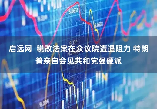 启远网  税改法案在众议院遭遇阻力 特朗普亲自会见共和党强硬派