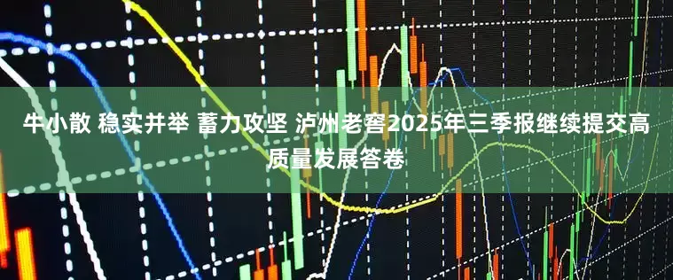 牛小散 稳实并举 蓄力攻坚 泸州老窖2025年三季报继续提交高质量发展答卷